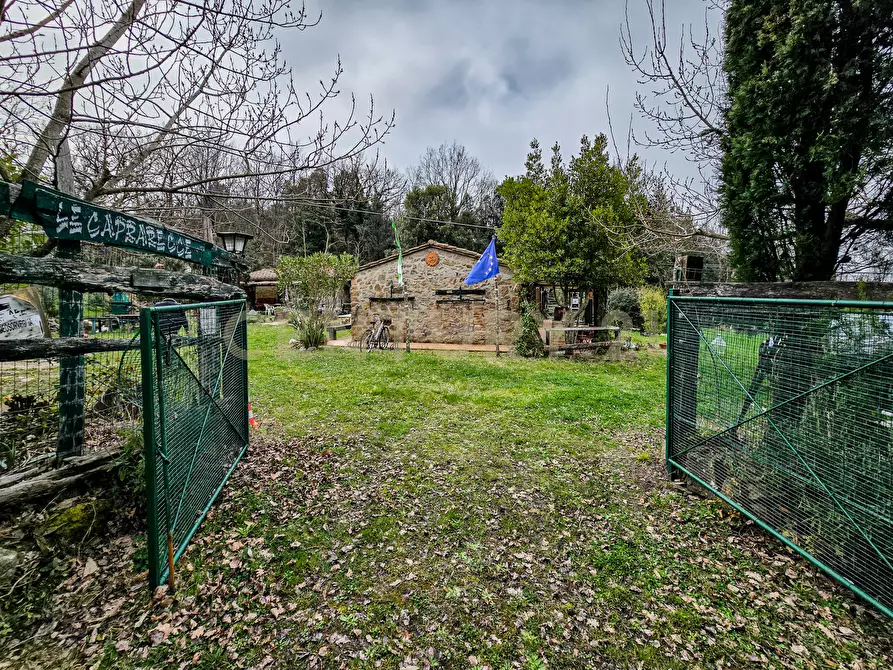 Immagine 26 di Rustico / casale in vendita  in Località Camaiano snc a Roccastrada