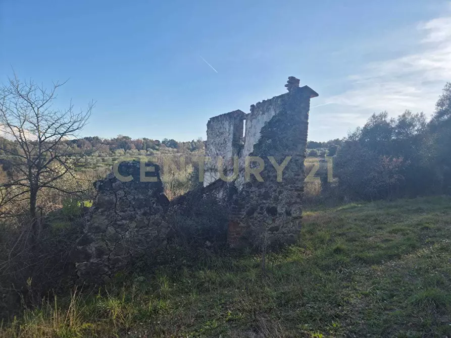 Immagine 10 di Rustico / casale in vendita  in loclaità fontepalma snc a Civitella Paganico
