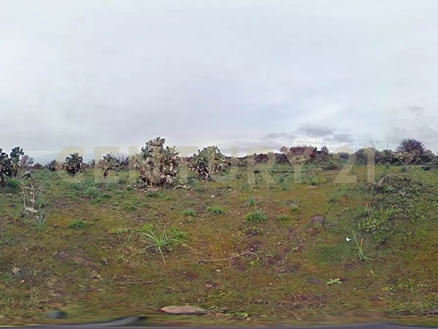 Immagine 29 di Terreno agricolo in vendita  in Via Santa Maria di Licodia a Belpasso