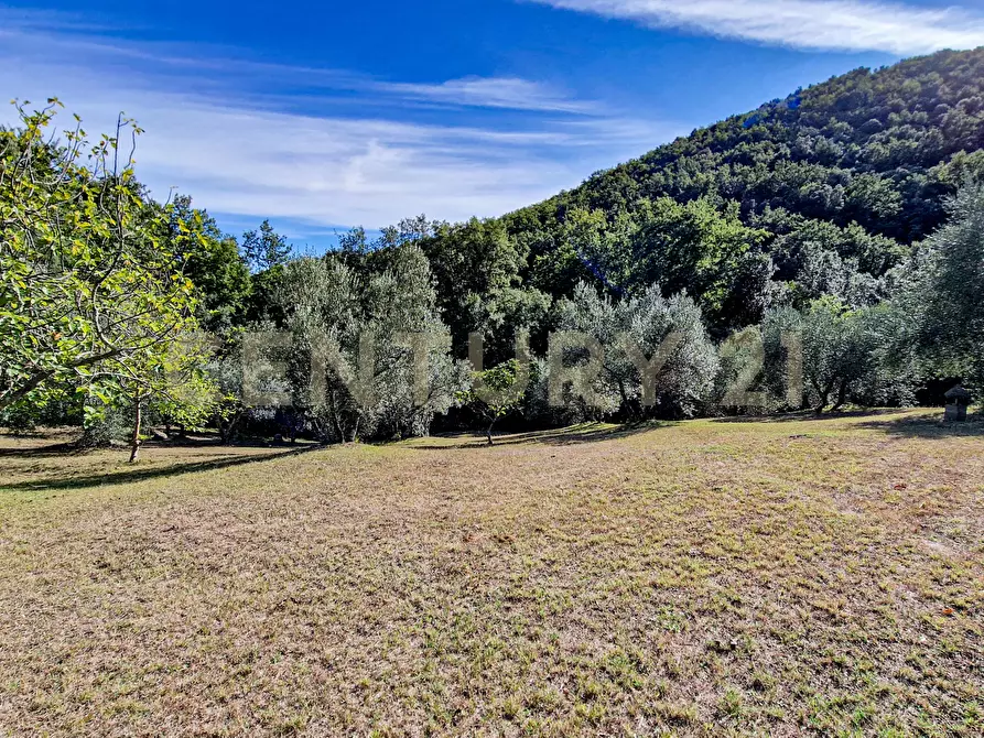 Immagine 27 di Casa indipendente in vendita  in Via della Mengona 32 a Roccastrada
