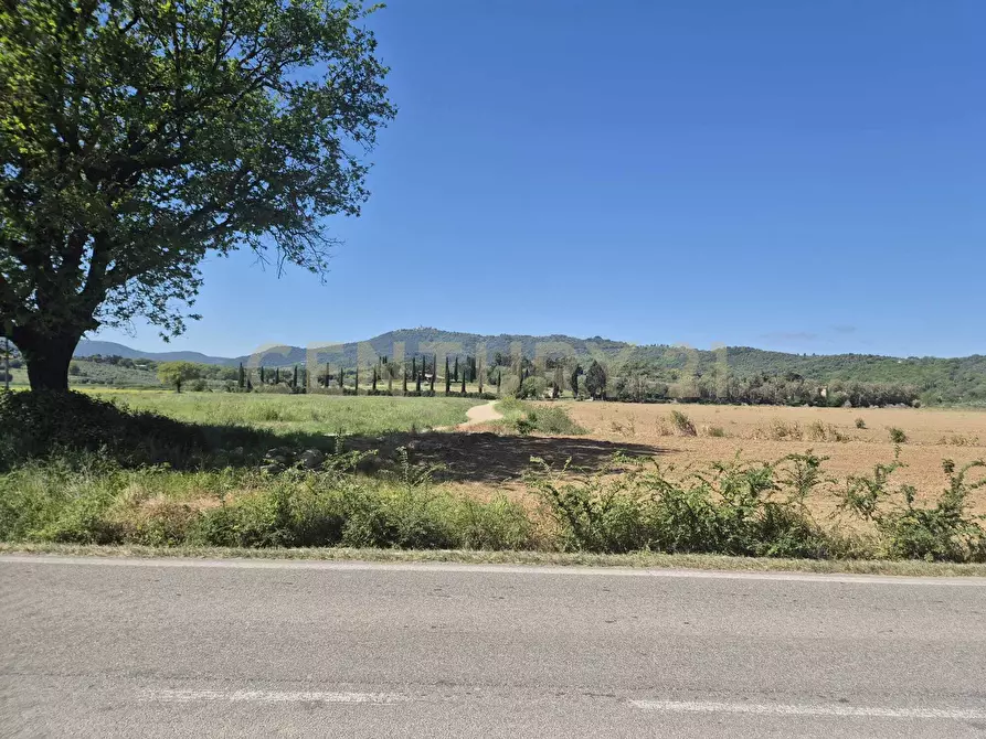 Immagine 15 di Terreno agricolo in vendita  in loc. Badia Vecchia a Castiglione Della Pescaia