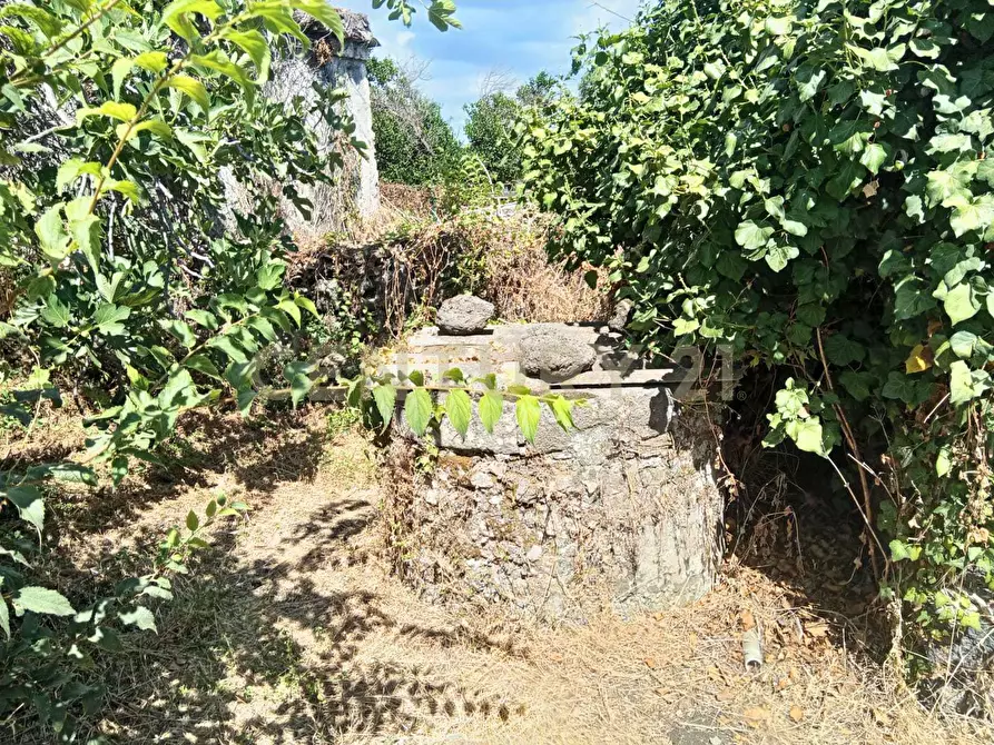 Immagine 19 di Rustico / casale in vendita  in Via Maugeri 12 a Valverde