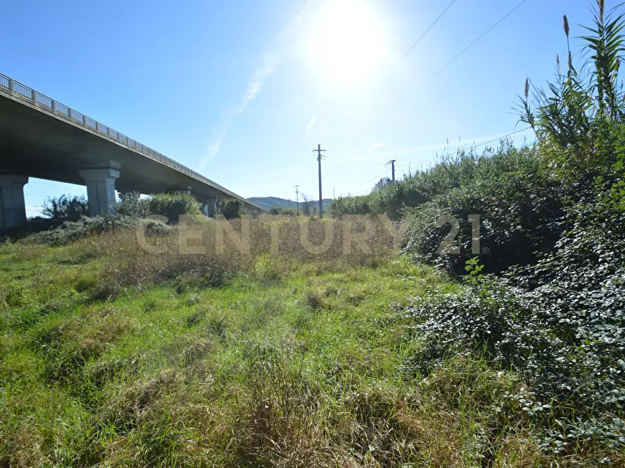 Immagine 6 di Rustico / casale in vendita  in Strada dell'Isolotto a Grosseto
