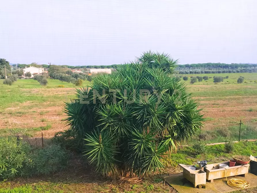 Immagine 19 di Rustico / casale in vendita  in Strada Pedemontana a Capalbio