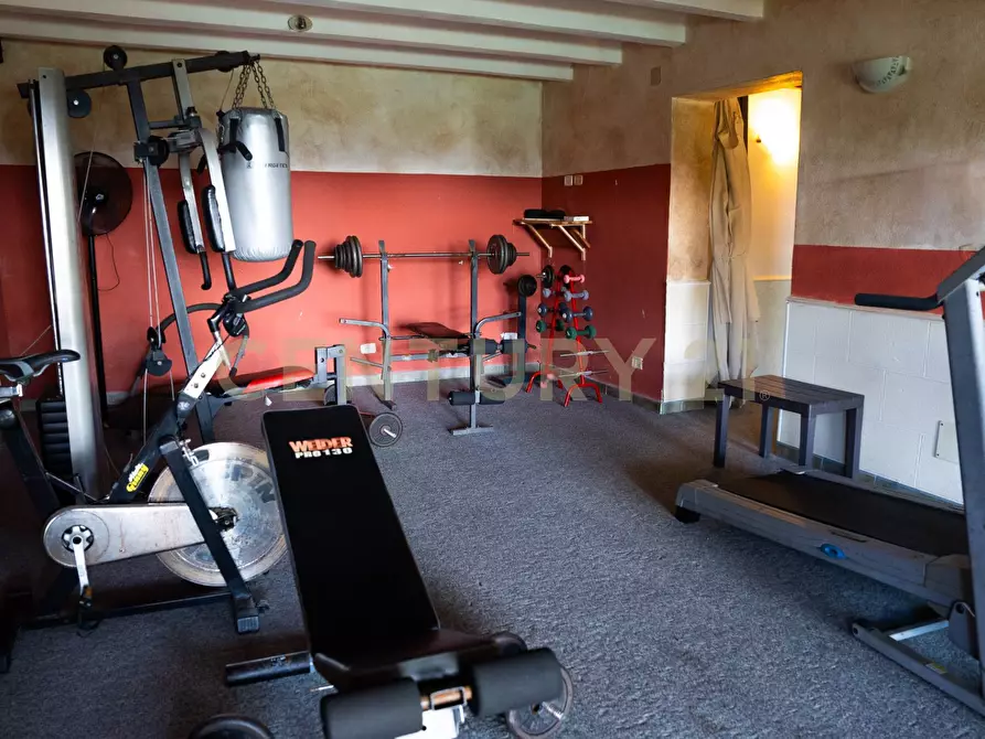 Immagine 86 di Rustico / casale in vendita  a Cinigiano