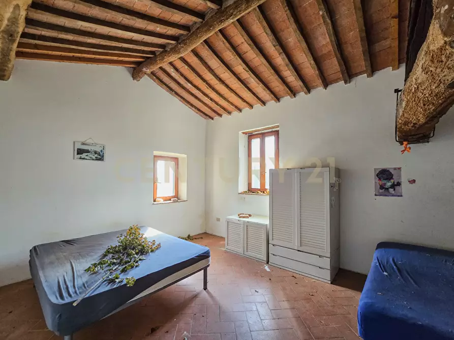 Immagine 9 di Rustico / casale in vendita  in Vial podere nuovo snc a Civitella Paganico