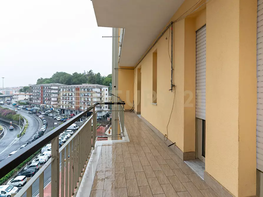 Immagine 25 di Pentalocale in vendita  in Via Due Obelischi 48 a Gravina Di Catania