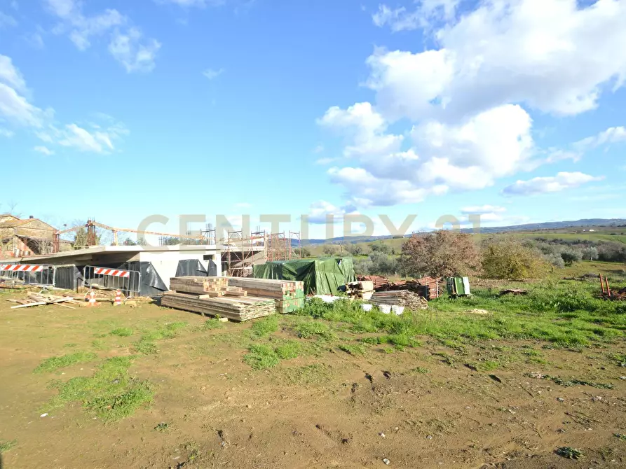 Immagine 6 di Casa bifamiliare in vendita  a Magliano In Toscana