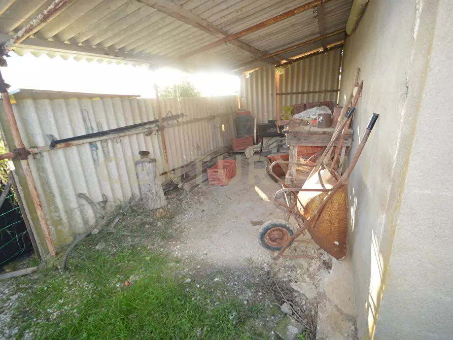 Immagine 32 di Terreno agricolo in vendita  in Strada del Querciolo 125 a Grosseto