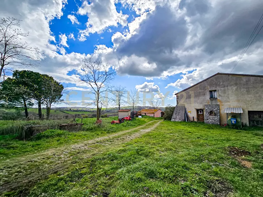Immagine 4 di Rustico / casale in vendita  in località mandorlaie a Scansano