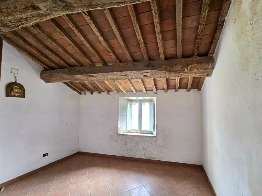 Immagine 19 di Rustico / casale in vendita  in località mandorlaie a Scansano