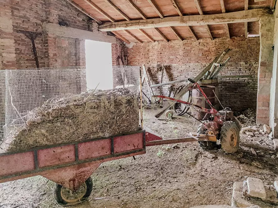 Immagine 3 di Rustico / casale in vendita  in Località Preselle sp 159 a Scansano