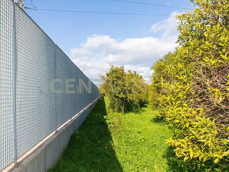 Immagine 2 di Terreno agricolo in vendita  in Via San Piero Patti 108 a Acireale