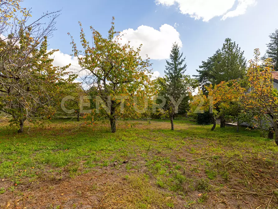 Immagine 22 di Villa in vendita  in Contrada Scolaro Cisterna a Adrano