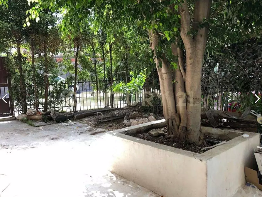 Immagine 28 di Trilocale in affitto  in Via Sgroppillo 21 a San Gregorio Di Catania