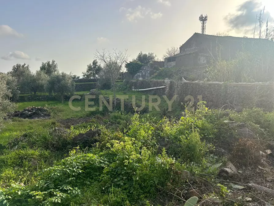 Immagine 39 di Terreno agricolo in vendita  in Via Giovanni Verga 1/A a Misterbianco