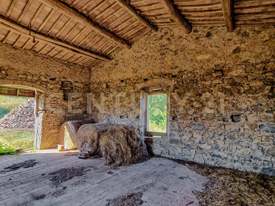Immagine 10 di Rustico / casale in vendita  in località cinigliano 271 a Roccastrada
