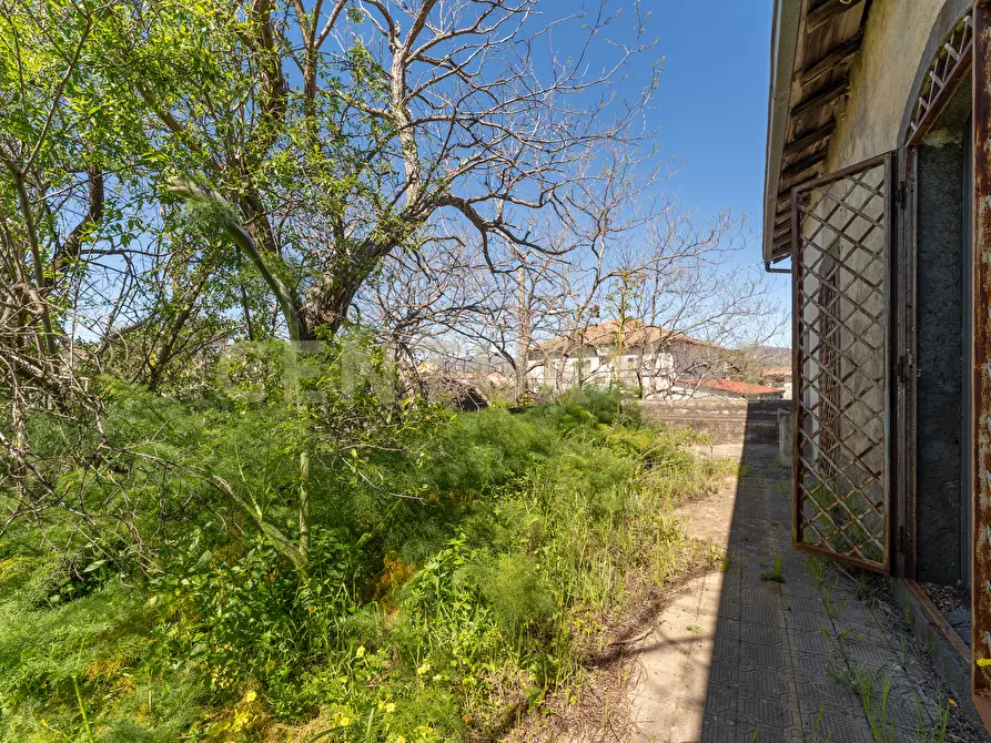 Immagine 40 di Casa indipendente in vendita  in Via Panebianco 20 a Castiglione Di Sicilia