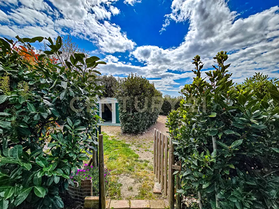 Immagine 4 di Rustico / casale in vendita  in podere poderina 5 a Civitella Paganico