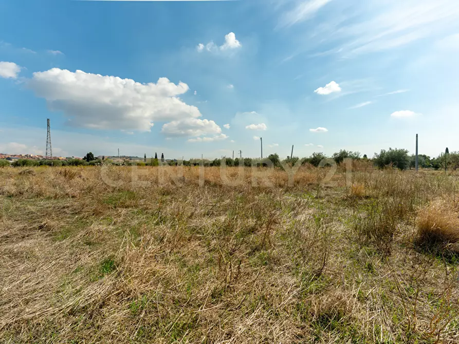 Immagine 10 di Terreno agricolo in vendita  in Via Margarone 5 a Motta Sant'anastasia