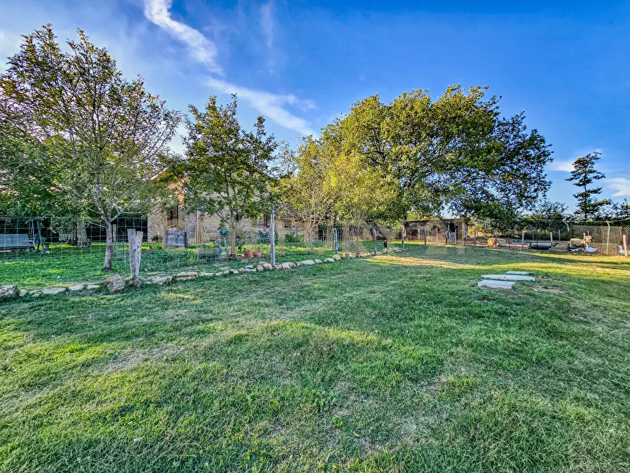 Immagine 22 di Rustico / casale in vendita  in Località Scovaventi 1 a Semproniano