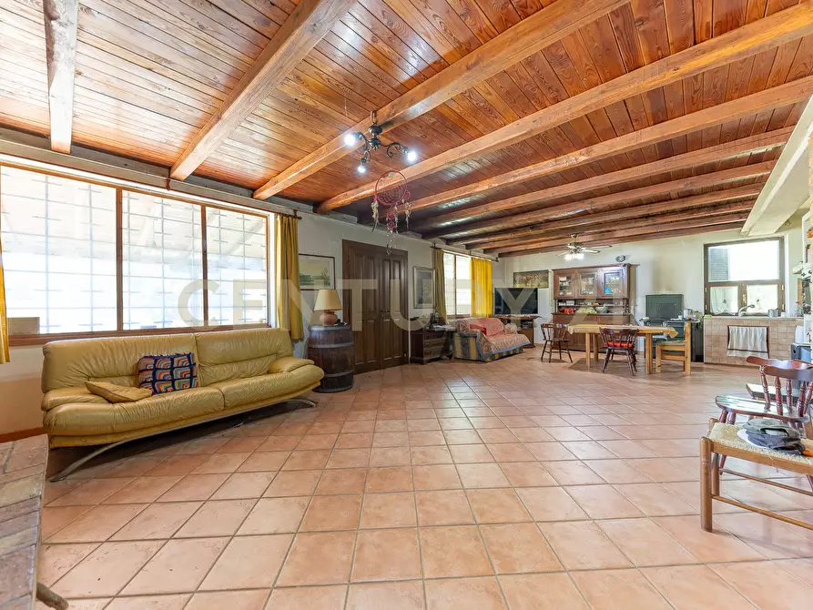 Immagine 48 di Rustico / casale in vendita  in località san quirichello a Barbarano Romano