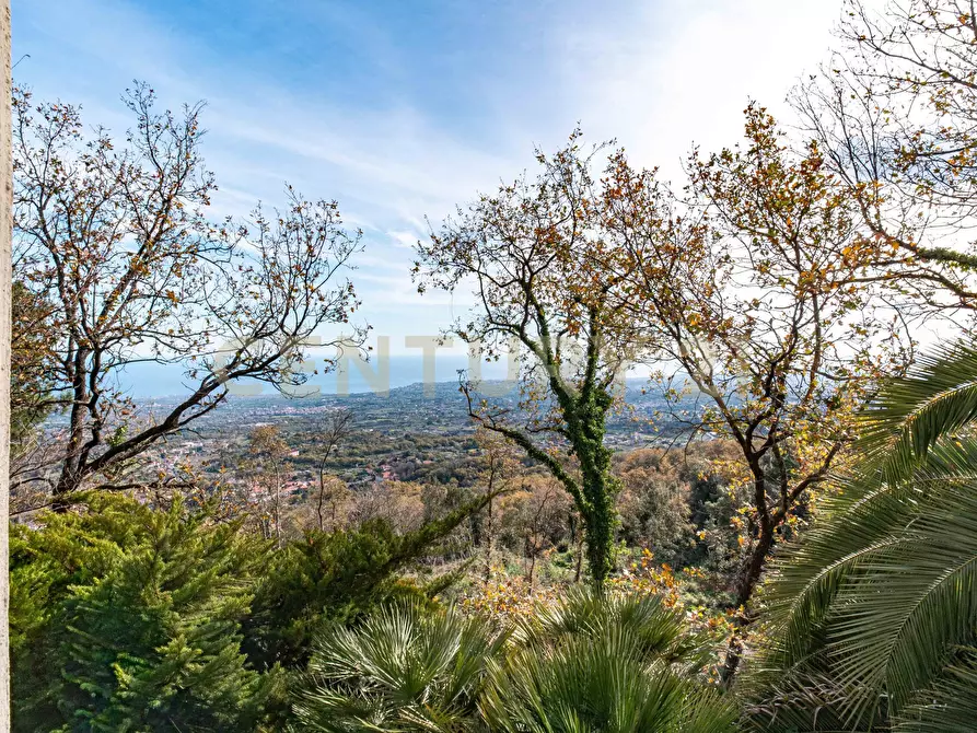 Immagine 32 di Capannone industriale in vendita  in Via Cassone 75 a Zafferana Etnea