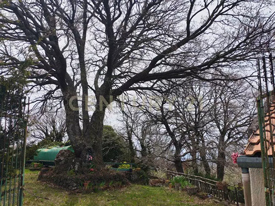 Immagine 29 di Terreno agricolo in vendita  in BIANCAVILLA a Catania