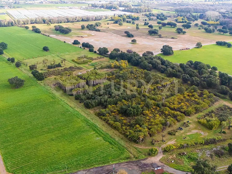 Immagine 13 di Terreno agricolo in vendita  in Via Lerici a Nettuno
