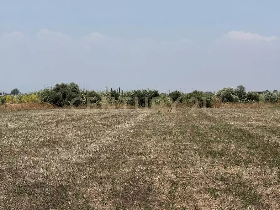 Immagine 11 di Terreno agricolo in vendita  in Strada Provinciale 104 snc a Lentini