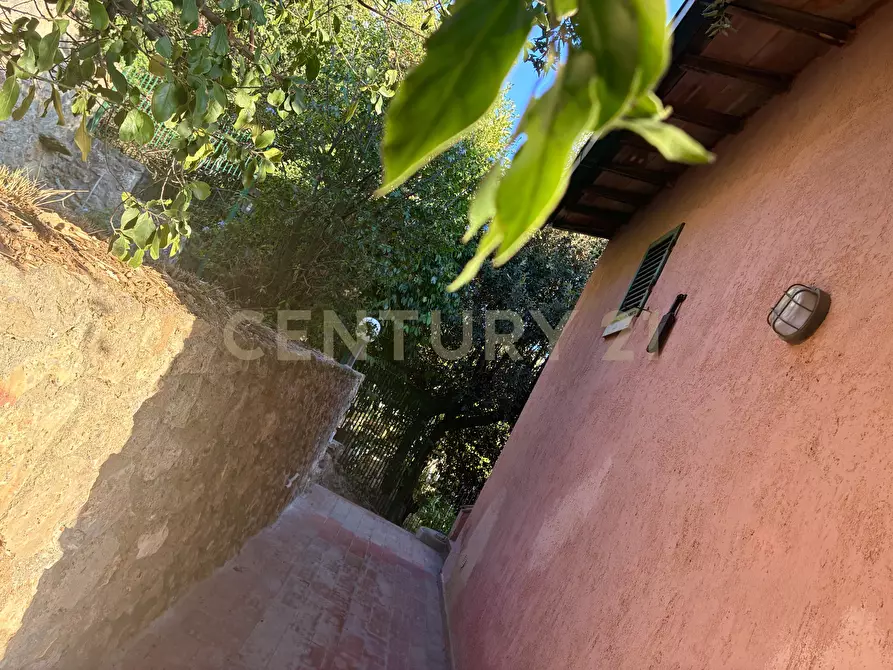 Immagine 7 di Bilocale in vendita  in località cala piccola a Monte Argentario