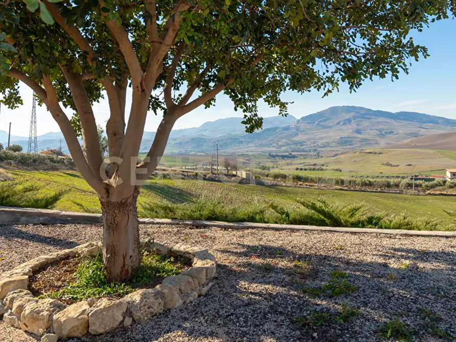 Immagine 14 di Terreno agricolo in vendita  in Strada Provinciale 23b a Centuripe