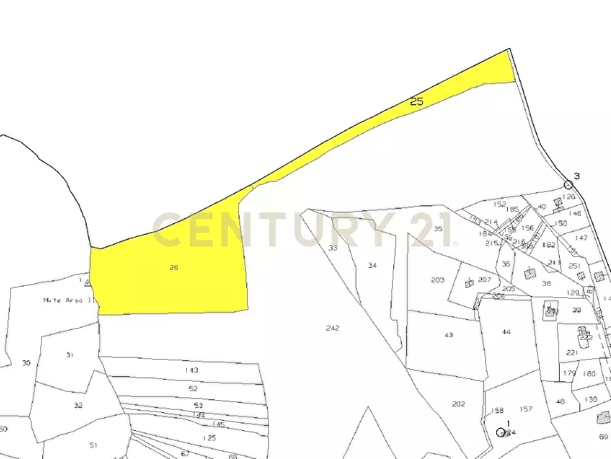 Immagine 5 di Terreno agricolo in vendita  in Via Monte Difeso a Nicolosi