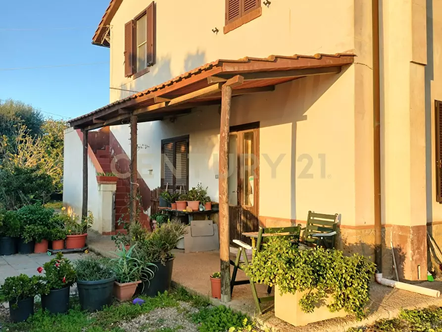 Immagine 1 di Rustico / casale in vendita  in Strada Pedemontana a Capalbio