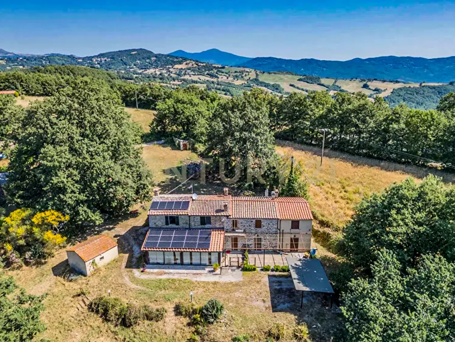 Immagine 41 di Terratetto in vendita  in Località Scovaventi 1 a Semproniano