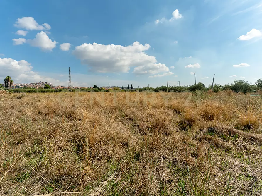Immagine 15 di Terreno agricolo in vendita  in Via Margarone 5 a Motta Sant'anastasia