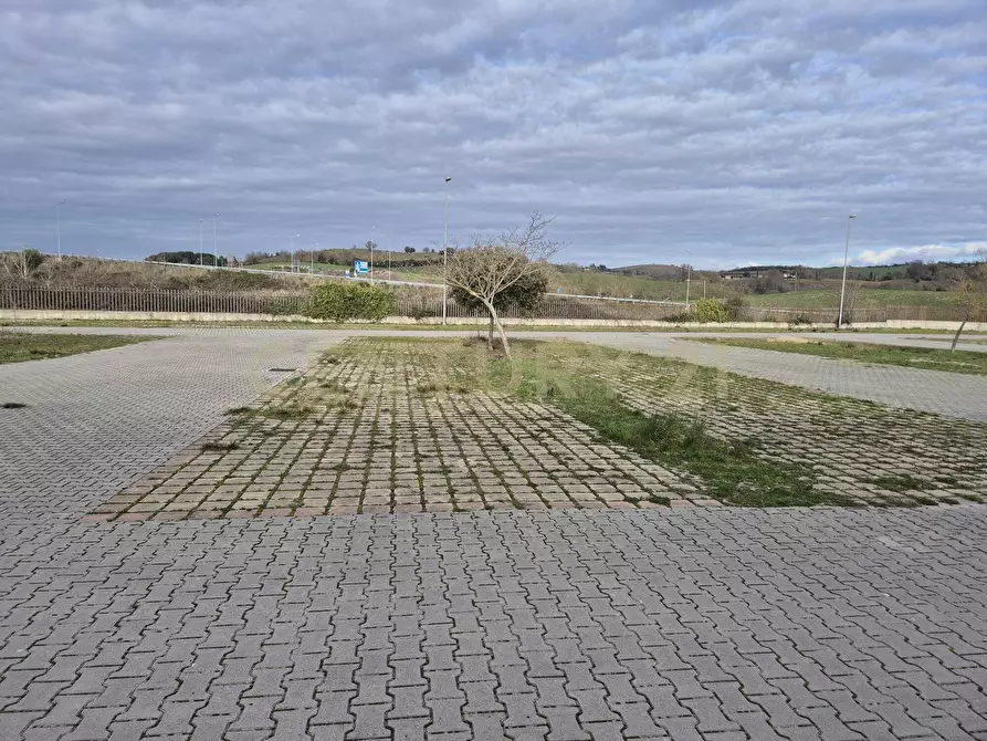 Immagine 20 di Locale commerciale in vendita  in Cerro Sughero a Campagnatico