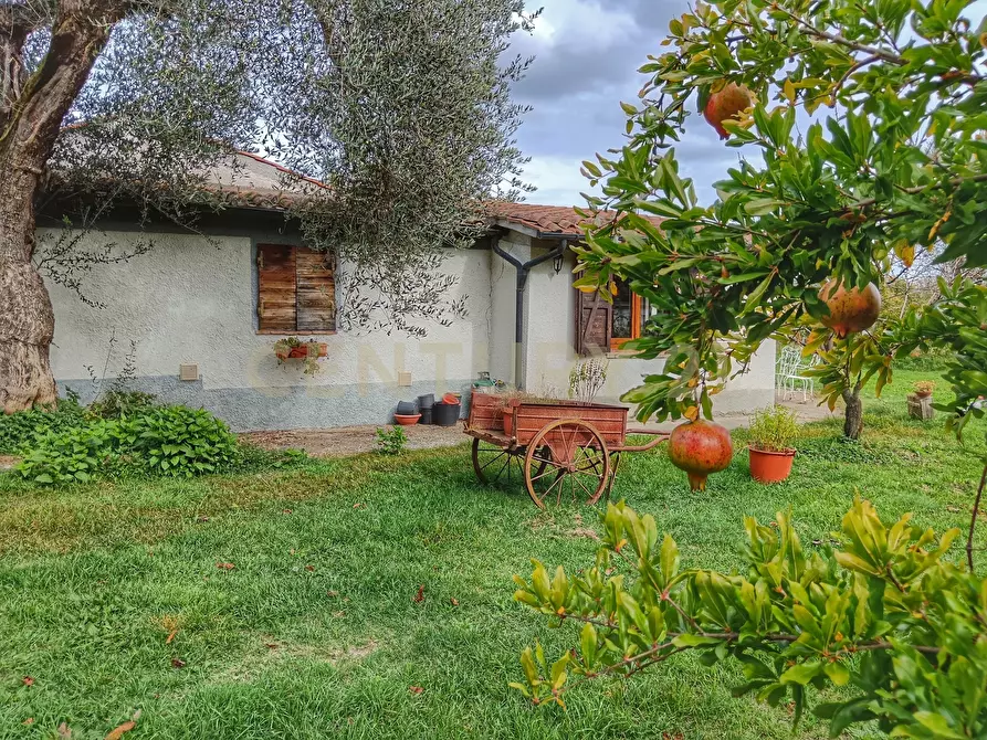 Immagine 27 di Rustico / casale in vendita  in località i chiostri a Piancastagnaio