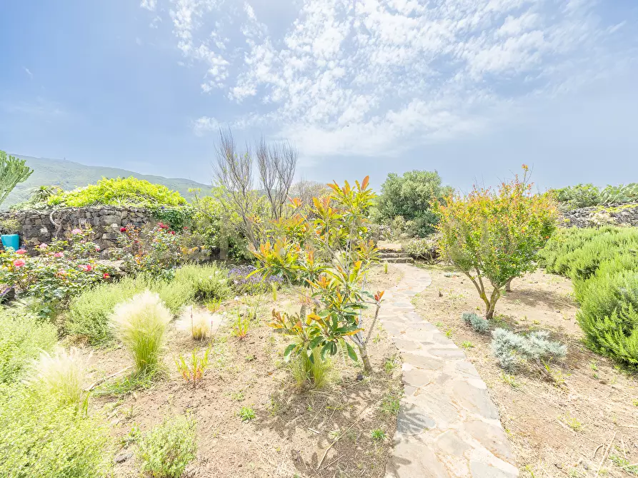 Immagine 40 di Casa indipendente in vendita  in 91017 Pantelleria TP a Pantelleria