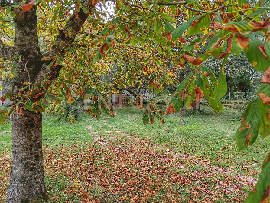 Immagine 35 di Rustico / casale in vendita  in località i chiostri a Piancastagnaio