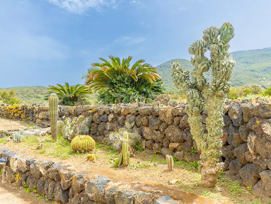 Immagine 36 di Casa indipendente in vendita  in 91017 Pantelleria TP a Pantelleria