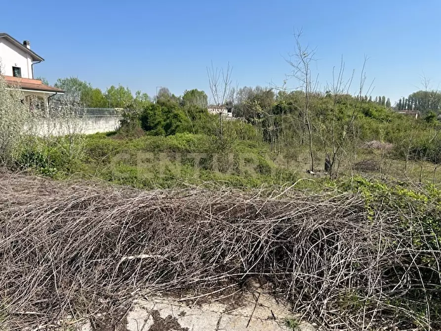 Immagine 8 di Terreno agricolo in vendita  in Via Prato Pelegal snc a Bovolone