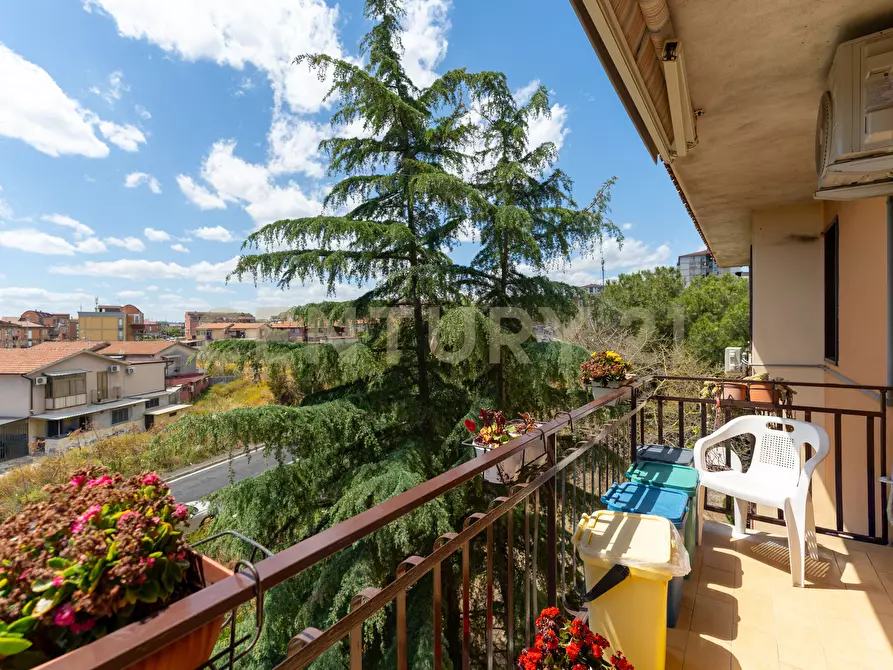 Immagine 34 di Appartamento in vendita  in Via Carmelo Salanitro 1 a Catania