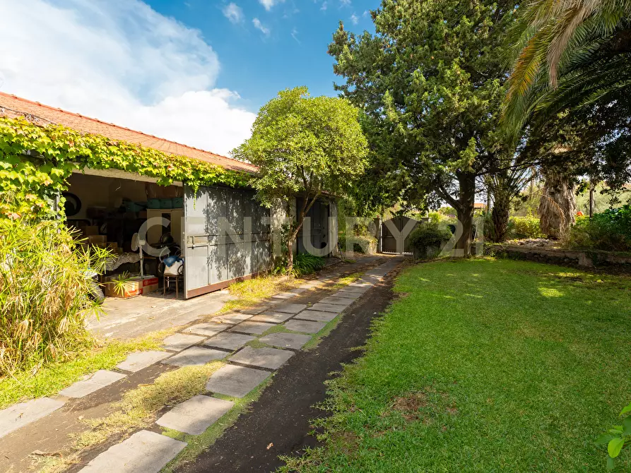 Immagine 10 di Villa in vendita  in Via Pulei 25 a Mascalucia