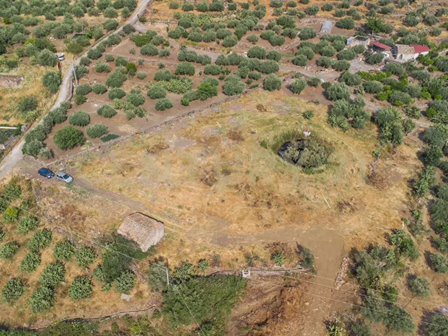 Immagine 21 di Terreno agricolo in vendita  in Via San Leo a Adrano