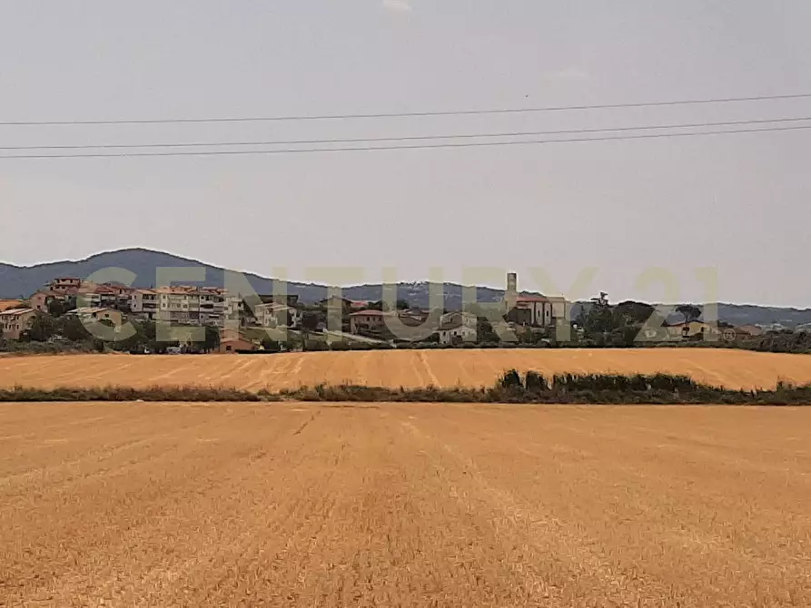 Immagine 4 di Pentalocale in vendita  in Piazza Silone Ignazio 29 a Capalbio