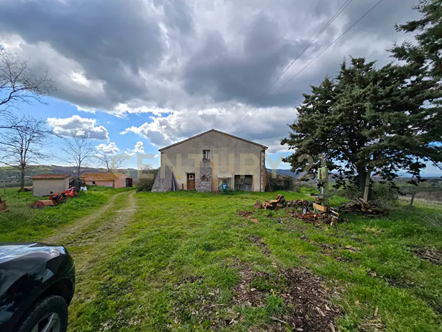 Immagine 12 di Rustico / casale in vendita  in località mandorlaie a Scansano