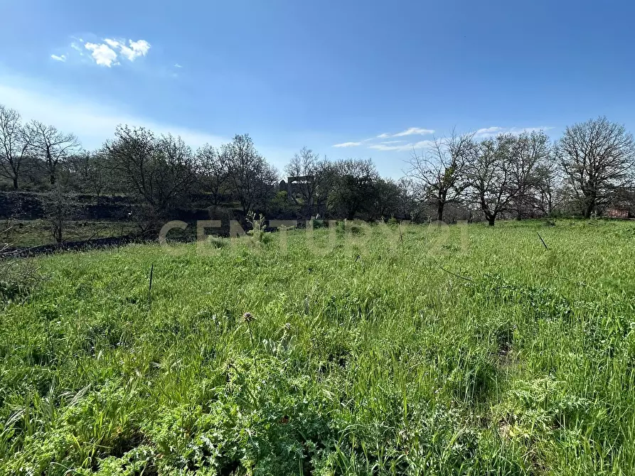Immagine 14 di Terreno agricolo in vendita  in CONTRADA VIGNE a Biancavilla