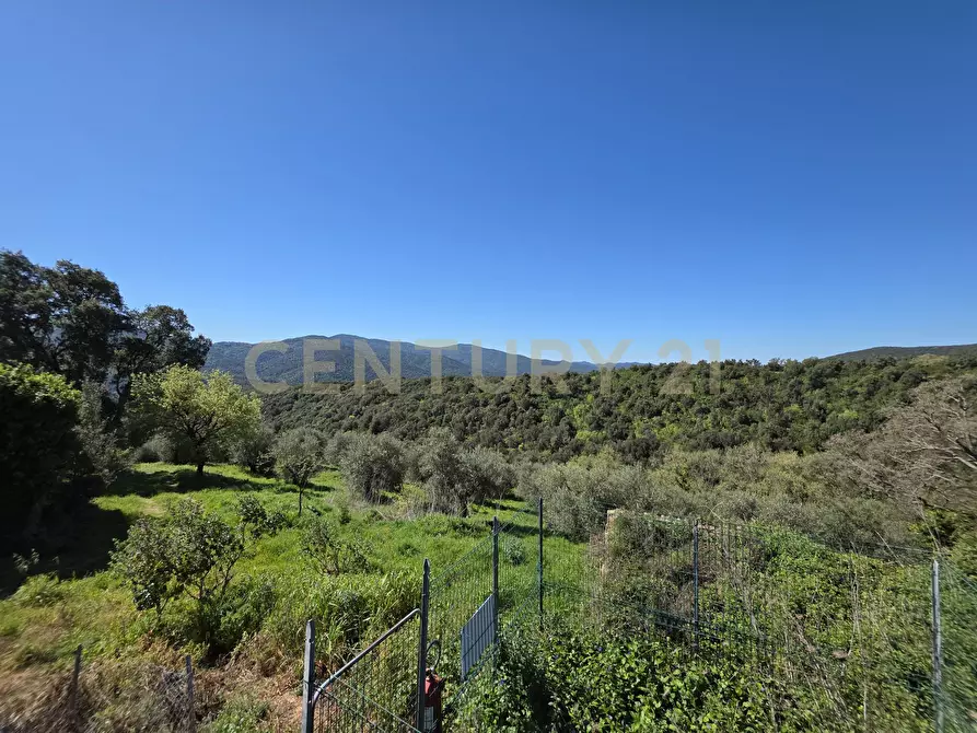 Immagine 40 di Rustico / casale in vendita  in località cesi a Gavorrano