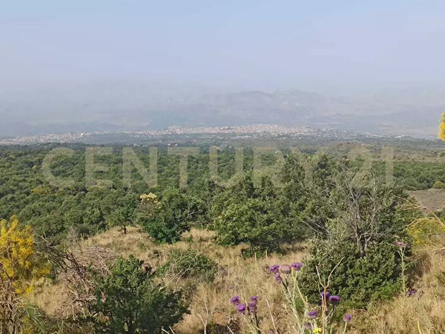 Immagine 44 di Terreno agricolo in vendita  in C.da Filiciusa a Biancavilla